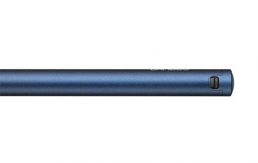 Bamboo Tip (CS-710/B0-CX)