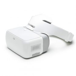 DJI Goggles
