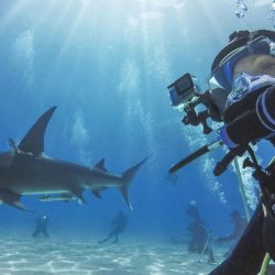 VỎ CHỐNG NƯỚC GOPRO HERO 8 - PROTECTIVE HOUSING GOPRO HERO 8 - CHÍNH HÃNG