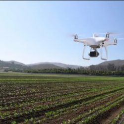 Phantom 4 Multispectral (Chính hãng)