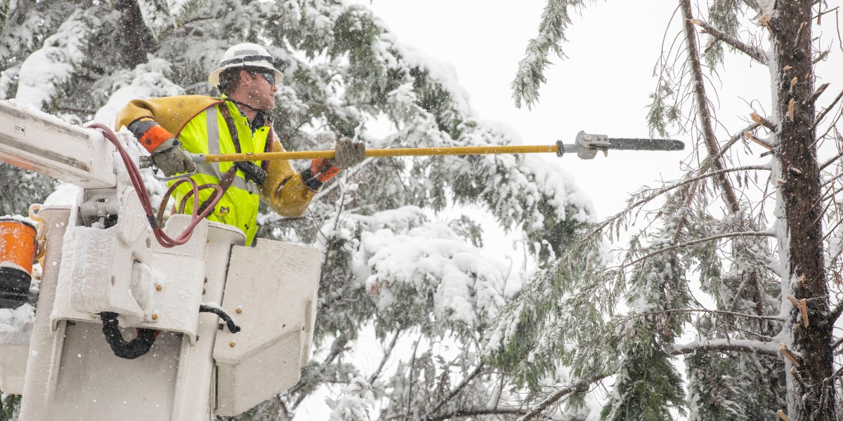 Drone giúp khắc phục sự cố mất điện sau khi cơn bão mùa đông Virginia khiến hàng nghìn người mất điện