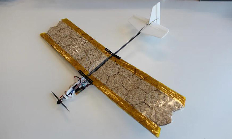 Nguyên drone có thể ăn được với đôi cánh làm với vật liệu tương tự như bánh gạo - Ảnh: EPFL