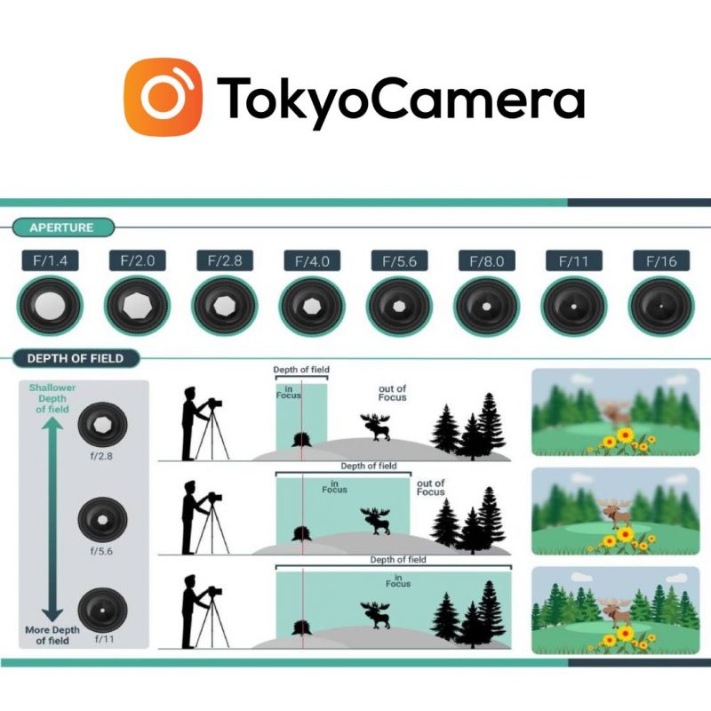 Tìm Hiểu Các Khái Niệm Cơ Bản Trong Nhiếp Ảnh (Phần 1) - Tokyo Camera