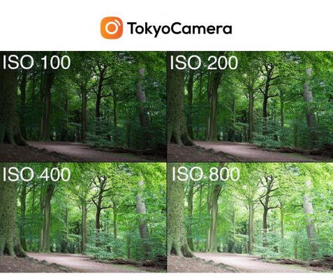 ISO - chỉ số phơi sáng ảnh hưởng tới màu sắc hình ảnh