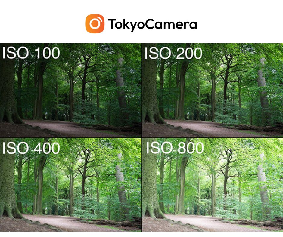 ISO - chỉ số phơi sáng ảnh hưởng tới sắc độ bức ảnh
