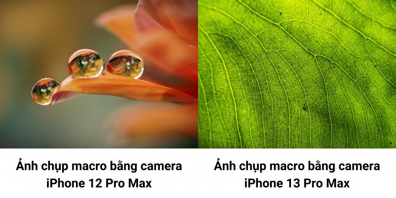 camera iPhone 13 Pro max vs Camera iPhone 12 Pro Max - Ảnh chụp Macro 