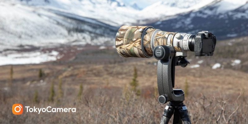 Phân loại gimbal - sử dụng gimbal head kết hợp chân tripod để hỗ trợ camera sử dụng ống kính tele chụp ảnh thiên nhiên, động vật hoang dã