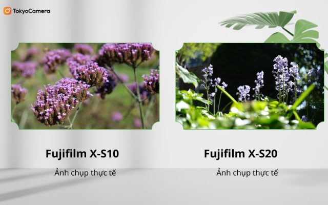 fujifilm x-s20 và fujifilm x-s10
