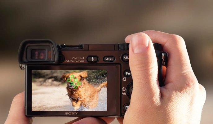 Sony A6000 lấy nét tự động tốt hơn