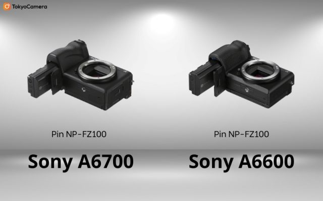 sony a6700 vs sony a6600