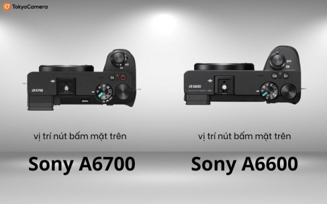 sony a6700 vs sony a6600