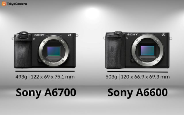 sony a6700 vs a6600