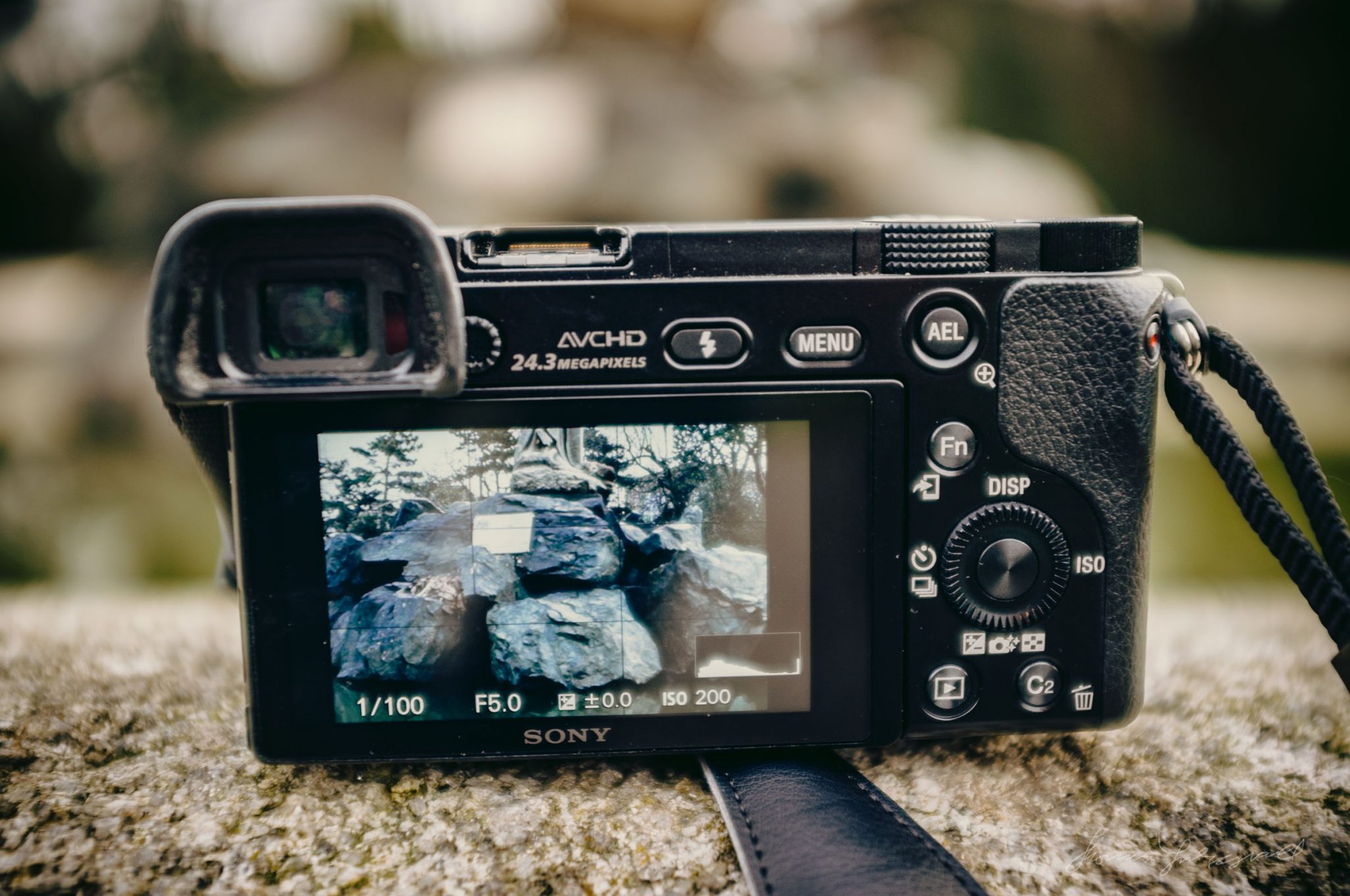 Tổng quan về Sony A6000 - máy ảnh không gương lật của Sony