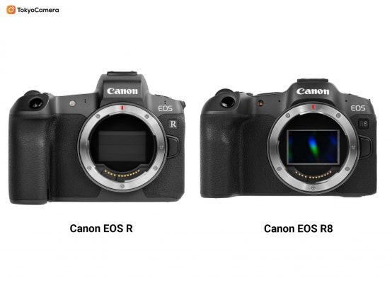 Review Canon EOS R8