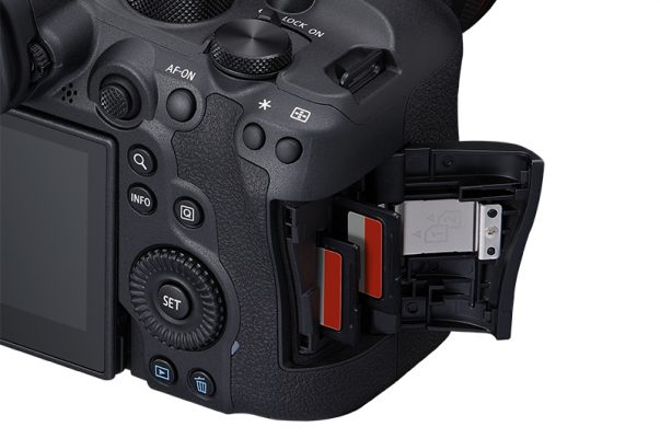 Canon EOS R8 vs EOS R6 II