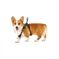 Alternative view of Insta360 Pet Harness Mount
