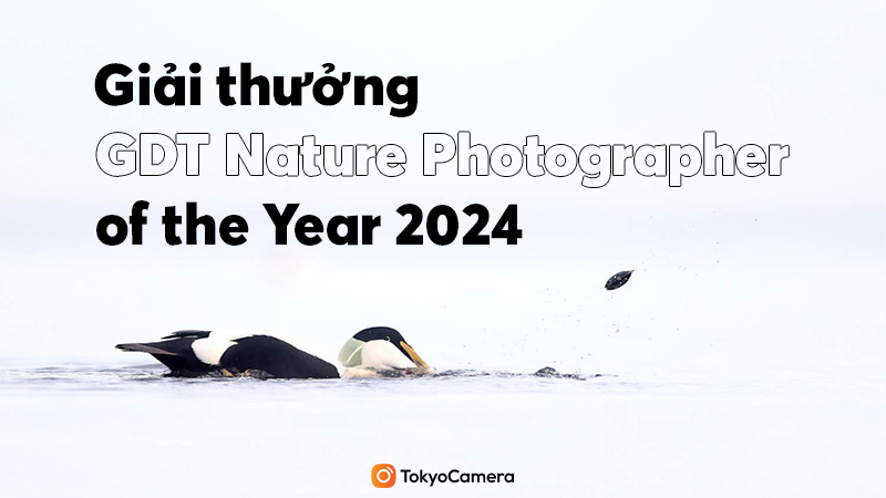 Giải Thưởng GDT Nature Photographer of the Year