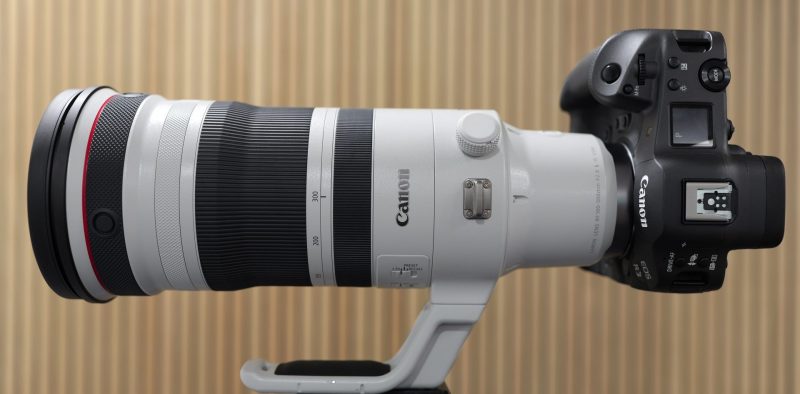 Canon RF 100-300mm f/2.8 L IS USM