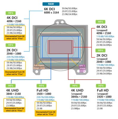 Review Canon EOS R1