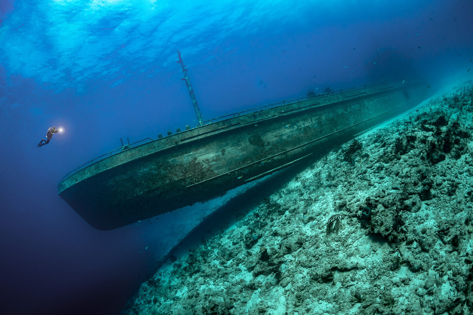 ocean photographer of the year 2024