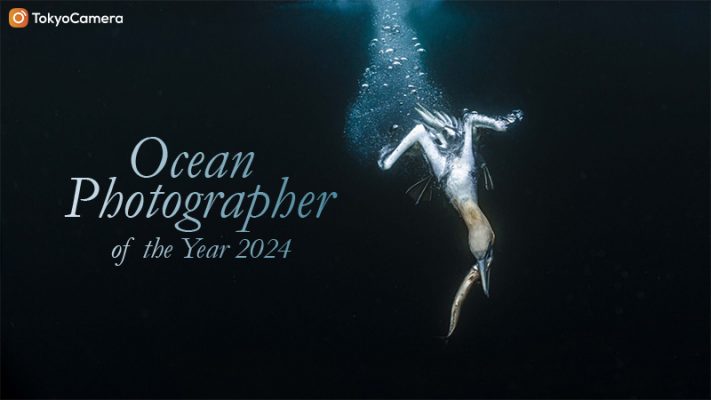 ocean photographer of the year 2024