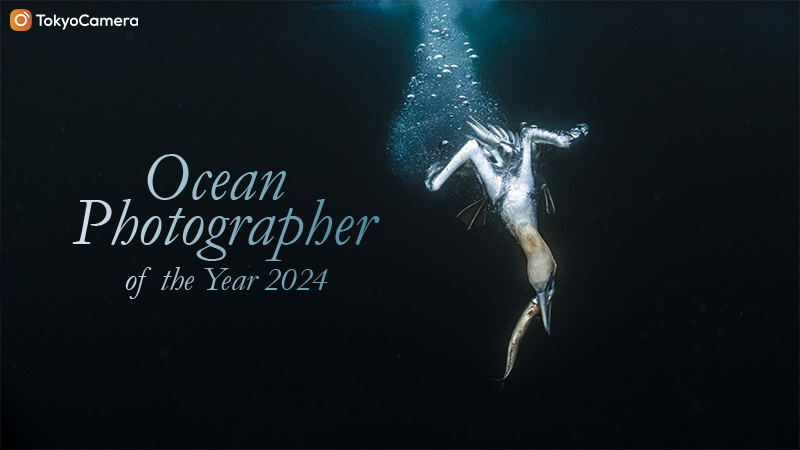 ocean photographer of the year 2024