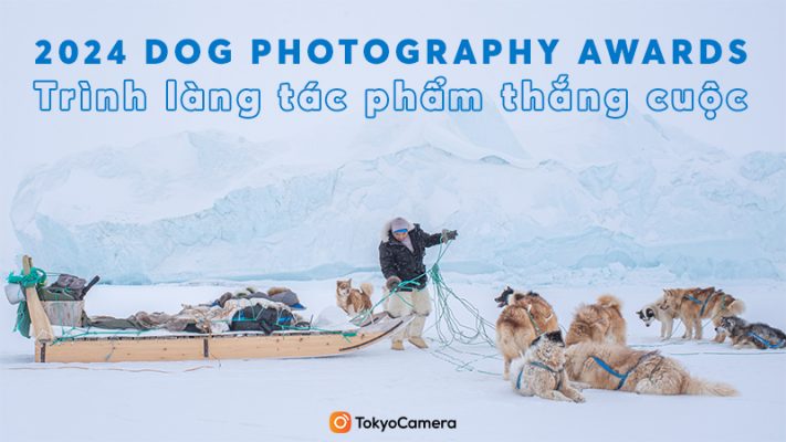 2024 Dog Photography Awards