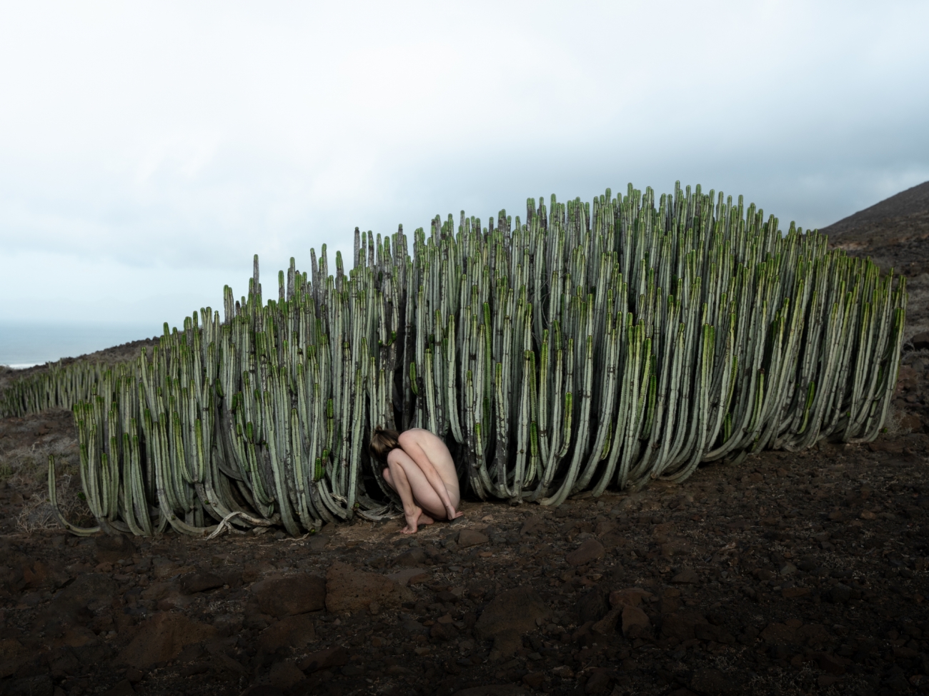 Siena Creative Photo Awards 2024