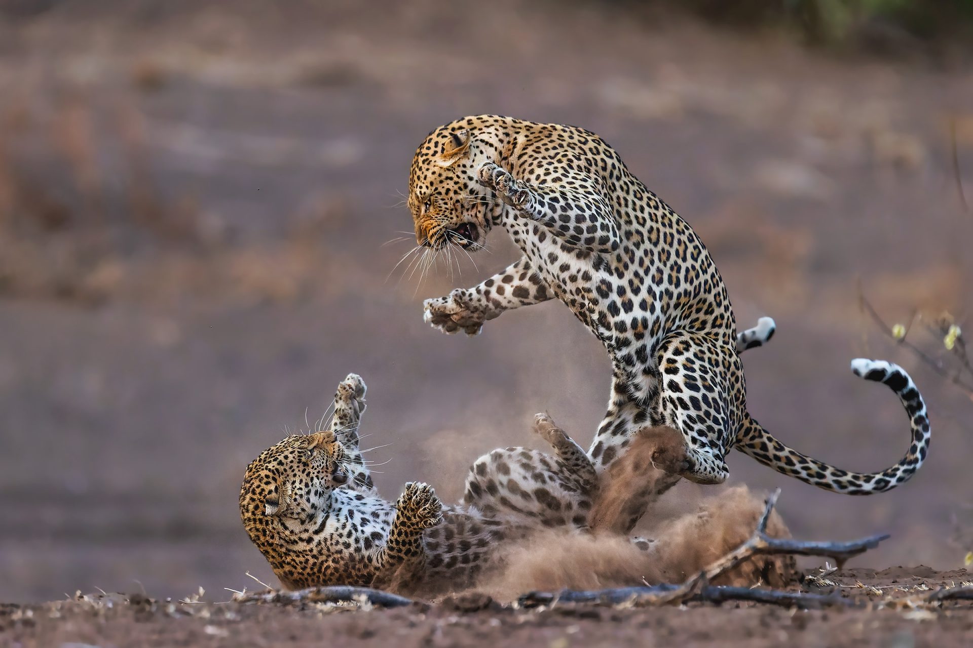 Nature’s Best Photography Awards 2024