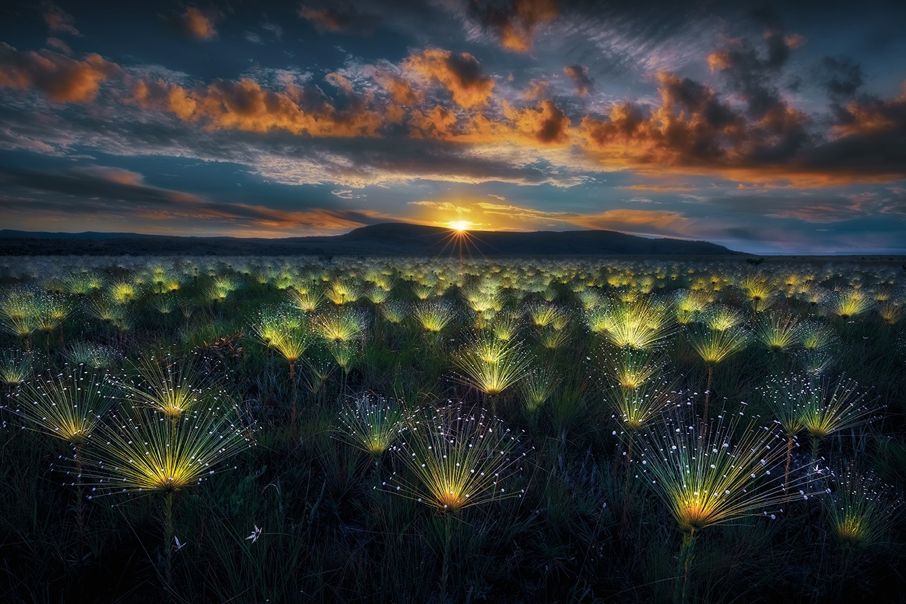 Nature’s Best Photography Awards 2024