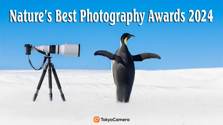 Nature’s Best Photography Awards 2024