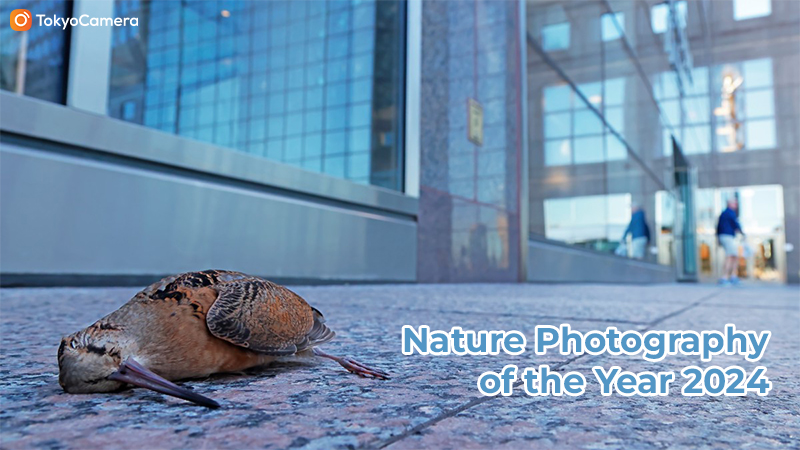 nature photography of the year 2024