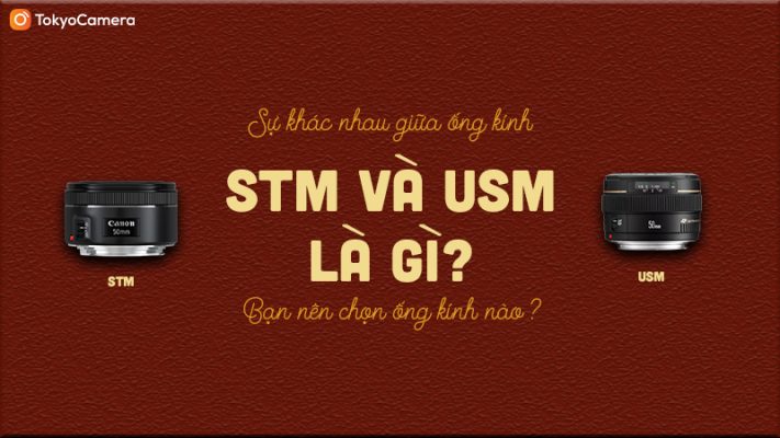 stm là gì