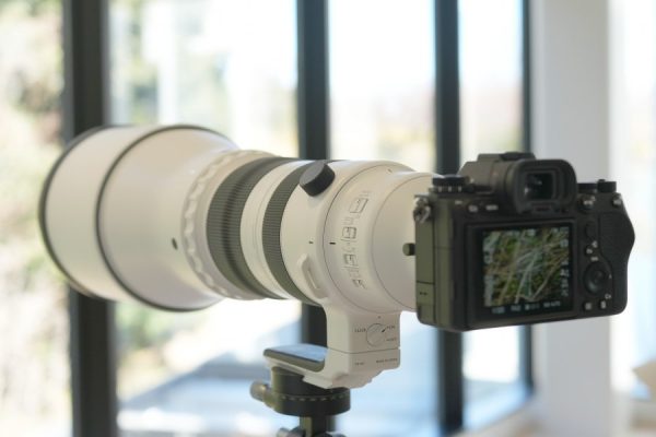 Sigma 300-600mm f/4 DG OS Sports là ống kính siêu tele