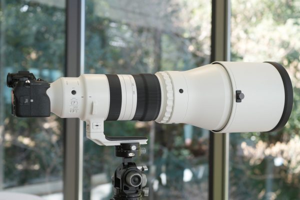 Sigma 300-600mm f/4 DG OS Sports