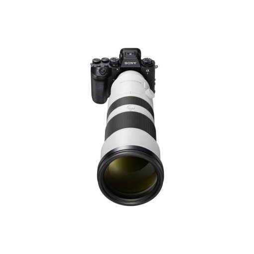 Sony FE 400-800mm f/6.3-8 G OSS (Sony E) - Hình ảnh 4