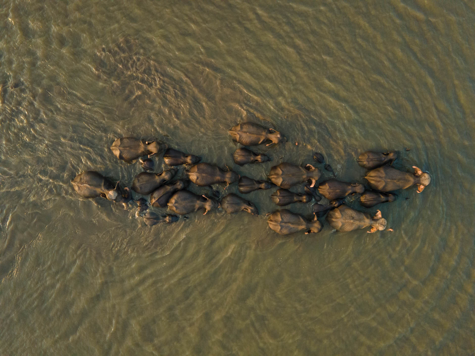 Nature inFocus Awards 2024