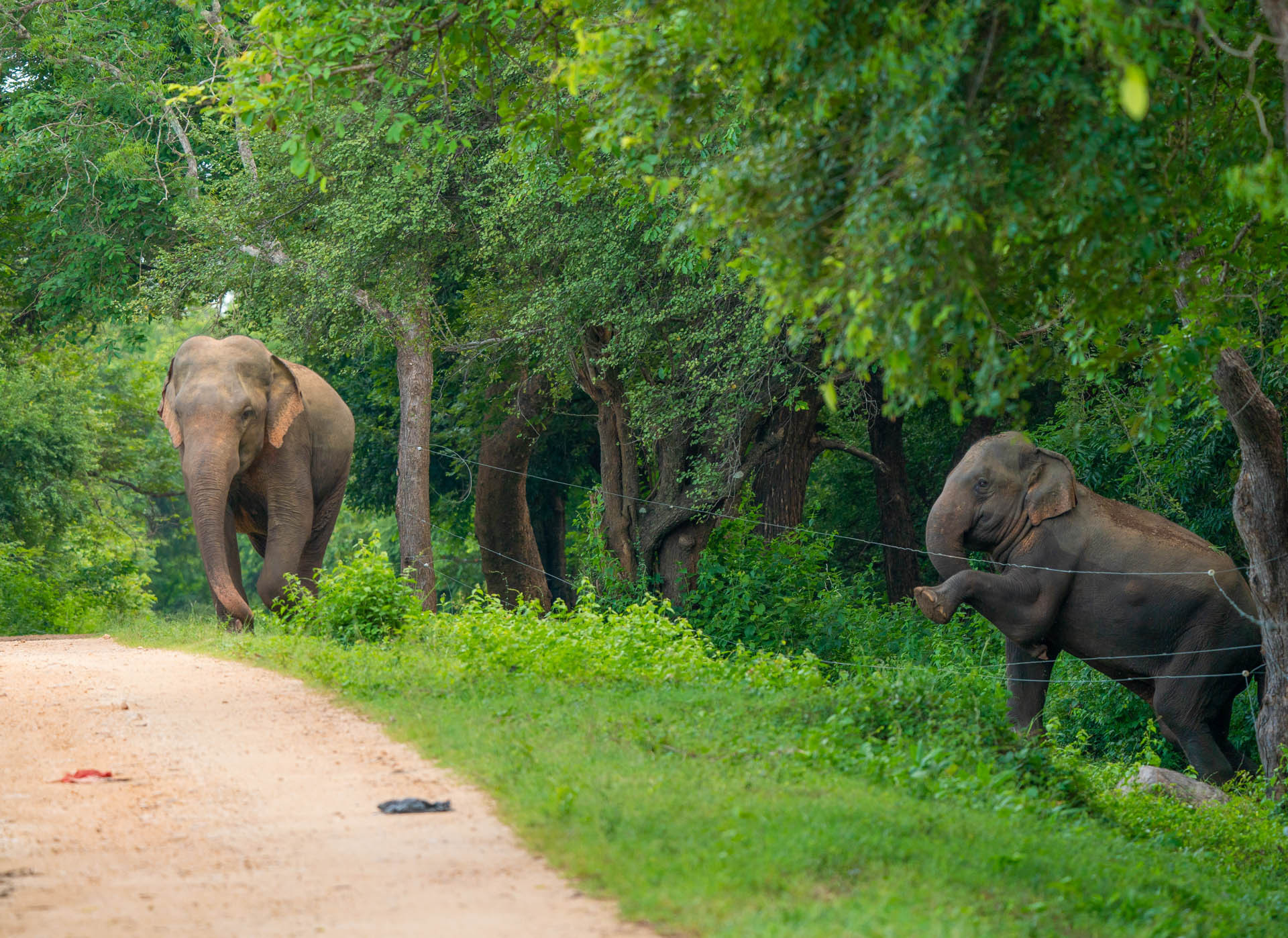 Nature inFocus Awards 2024