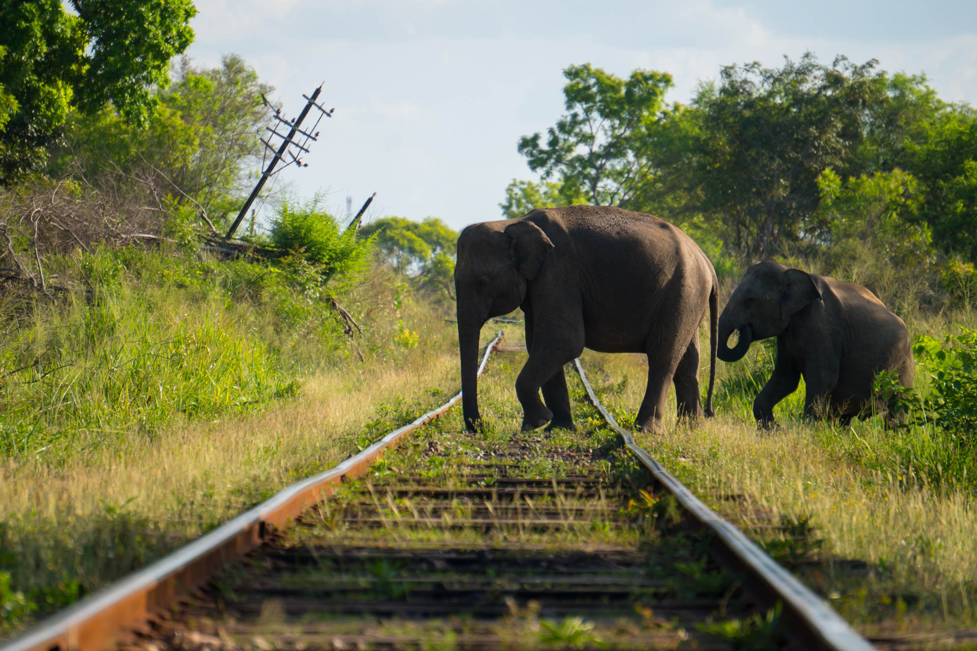 Nature inFocus Awards 2024