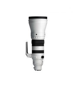 Sigma 300-600mm f/4 DG OS Sports (Sony E)