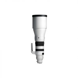 Sigma 300-600mm f/4 DG OS Sports (Sony E)