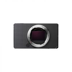 Sigma BF (Bony Only | Black)