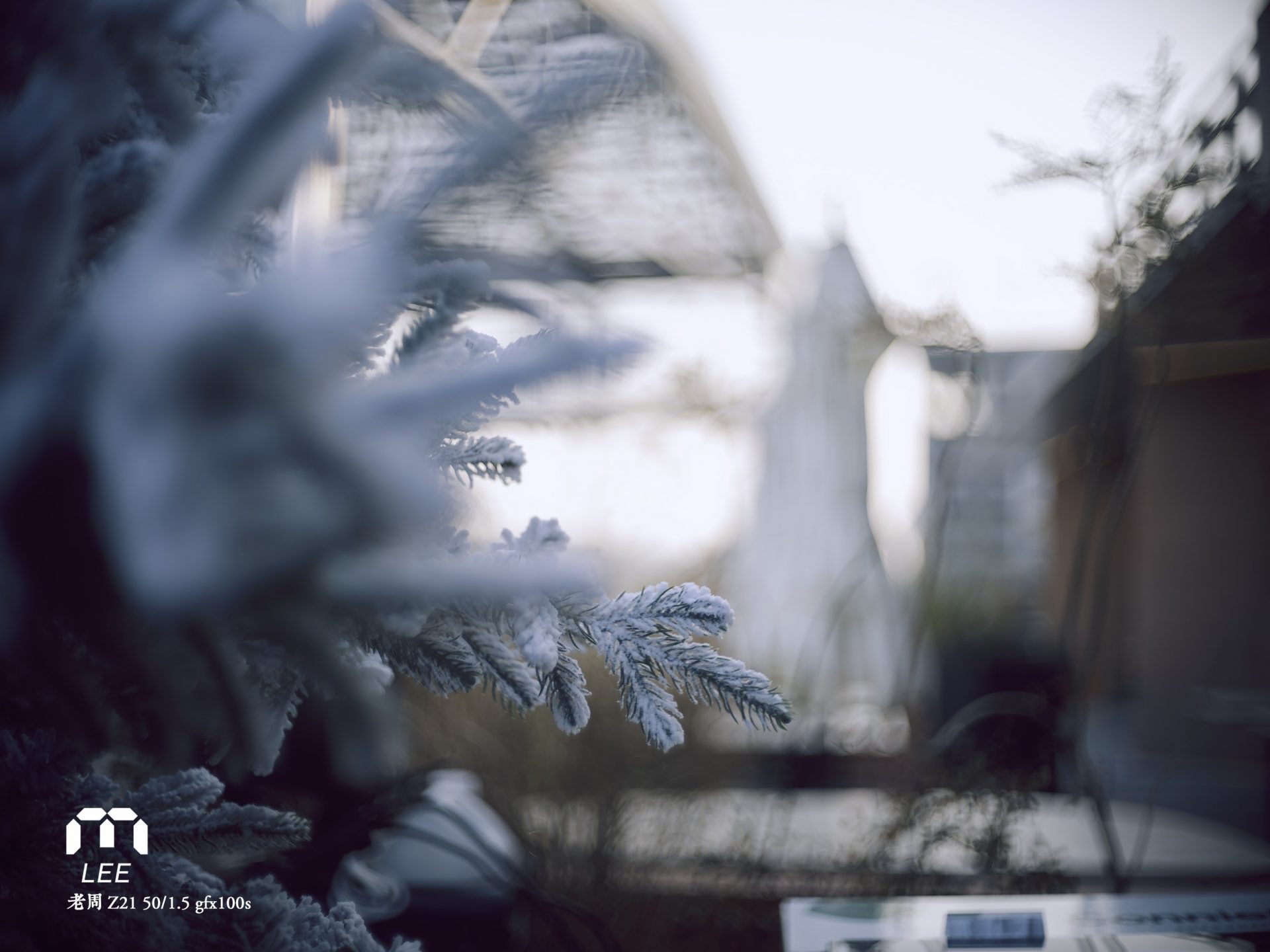light lens lab 50mm f/1.5 z21