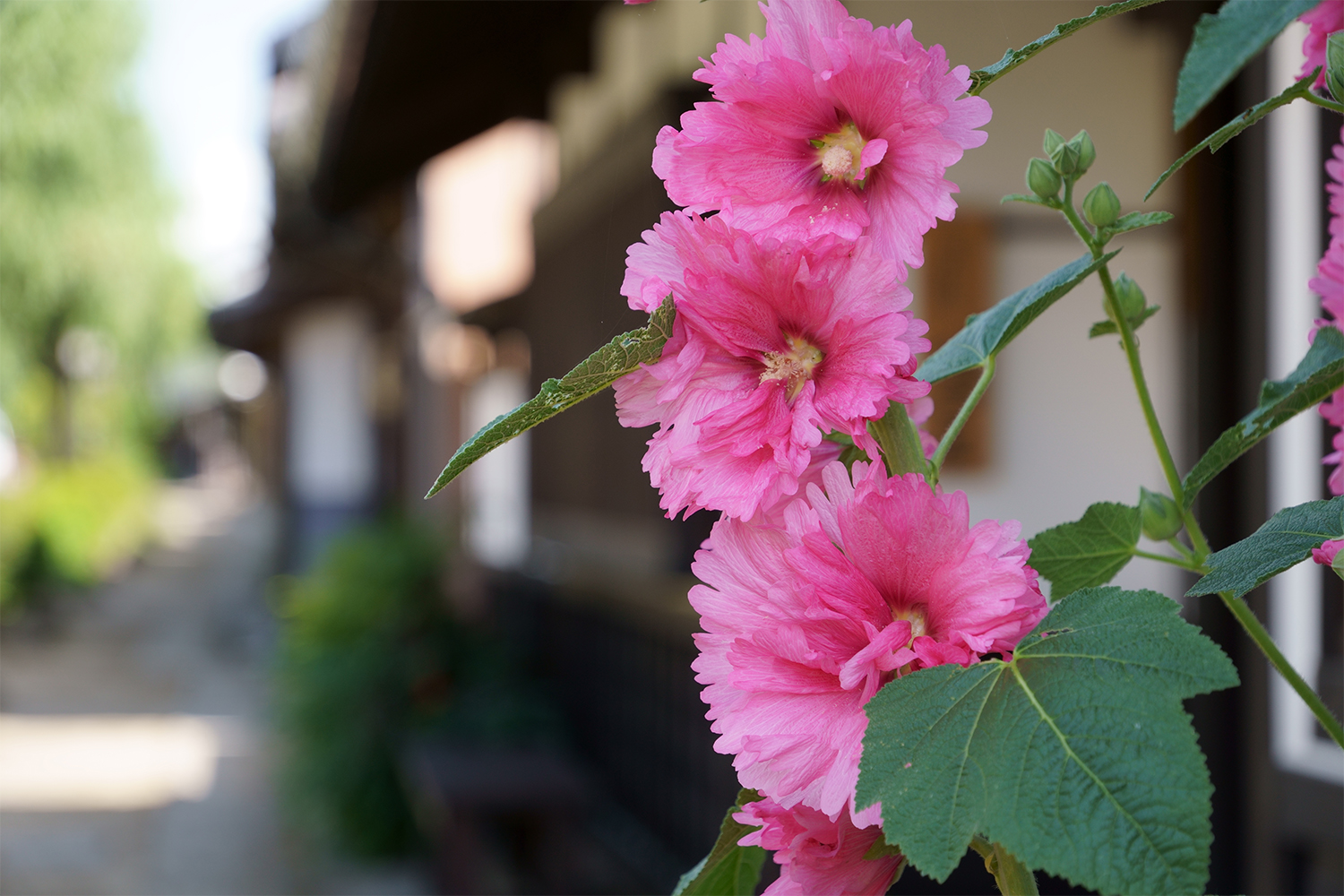 Tamron 18-300mm f3.5-6.3 Di III-A VC VXD