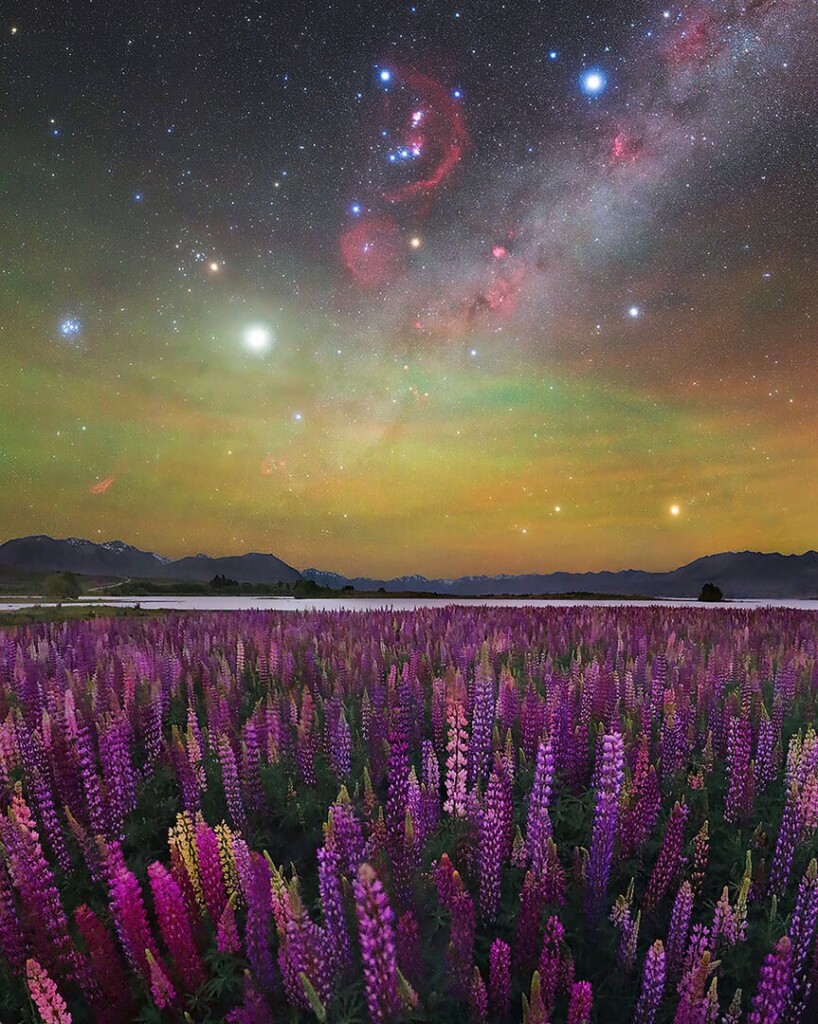 Milky Way Photographer of the Year