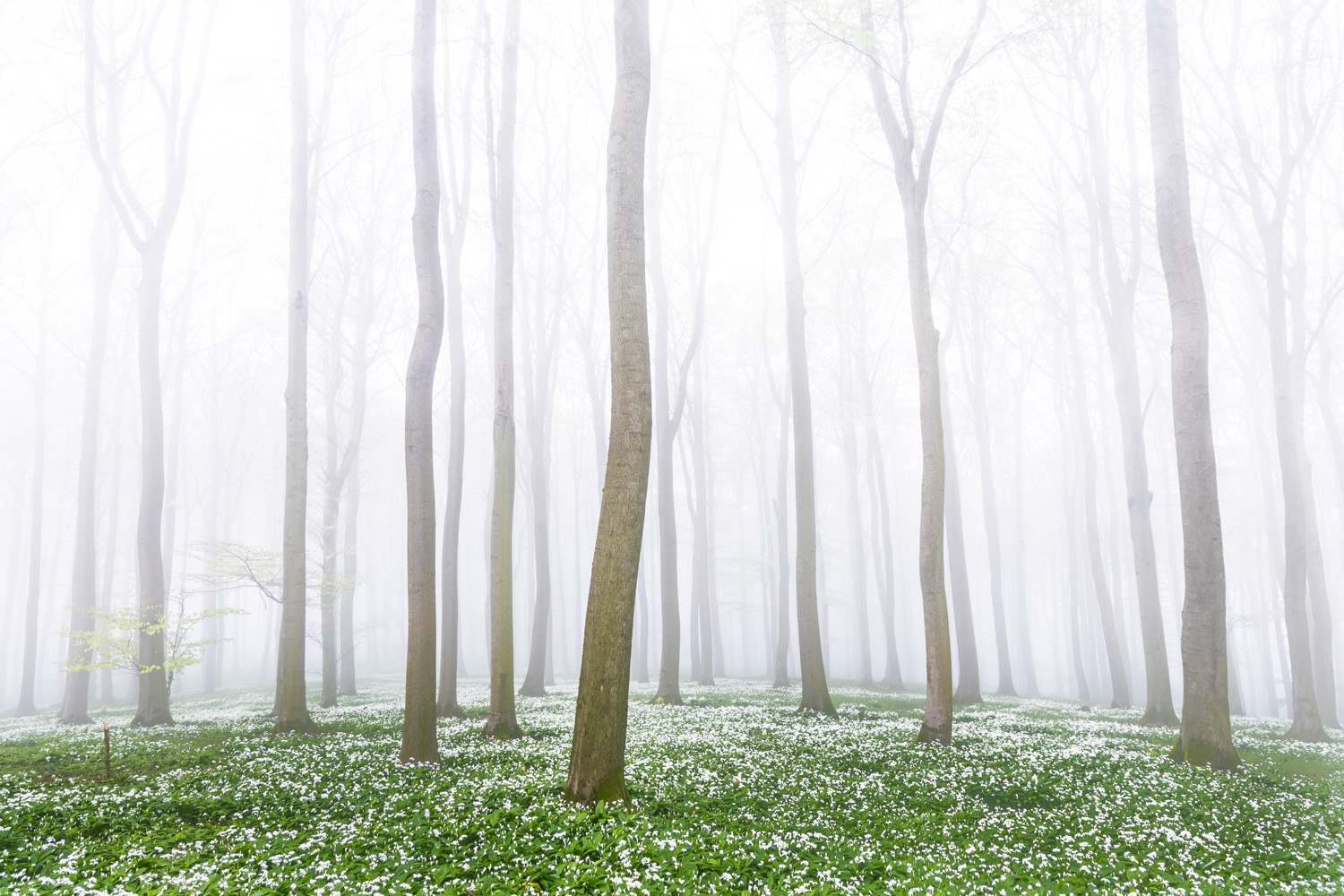 gdt nature photographer of the year 2025