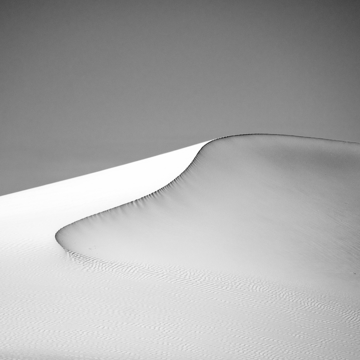 gdt nature photographer of the year 2025