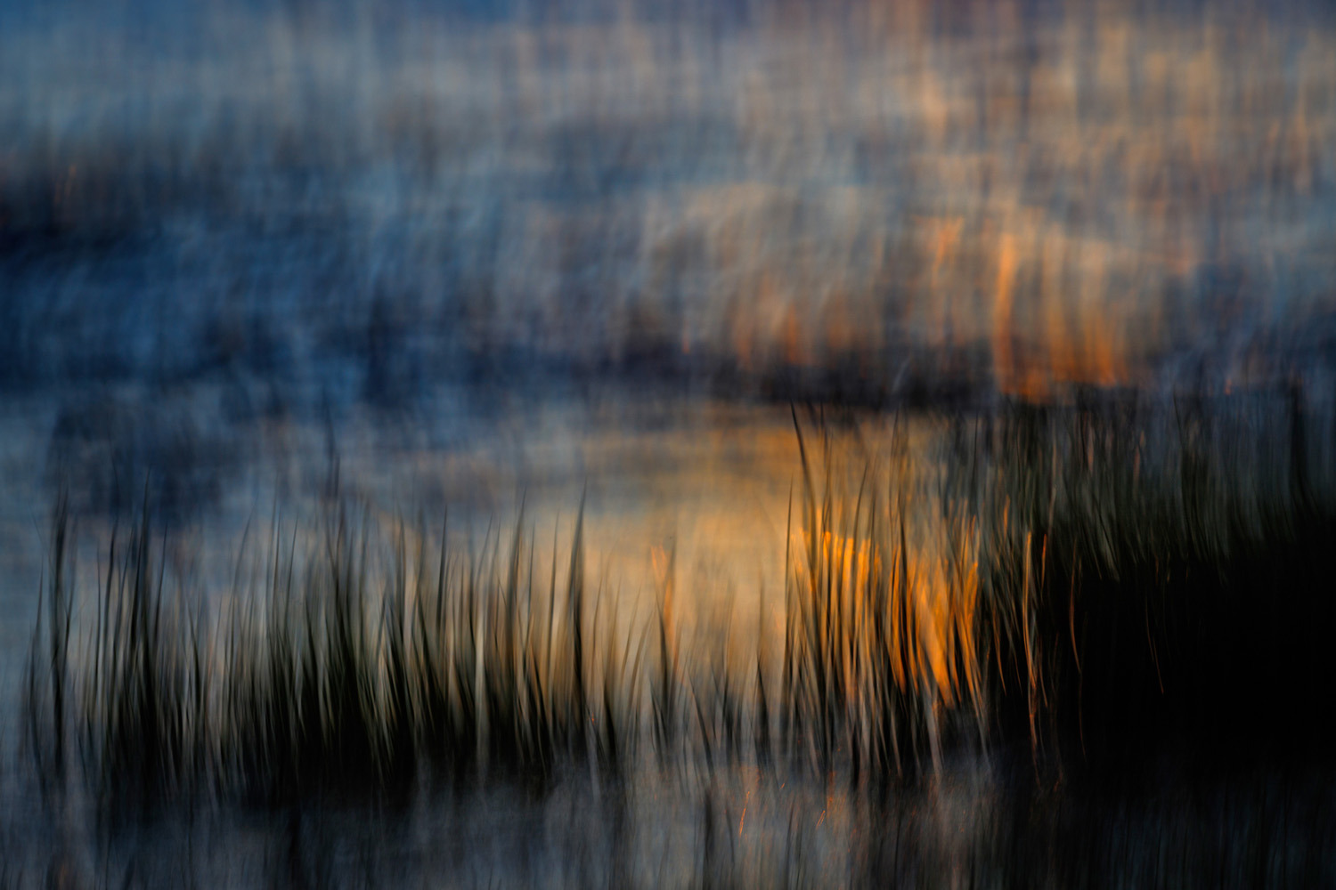 gdt nature photographer of the year 2025