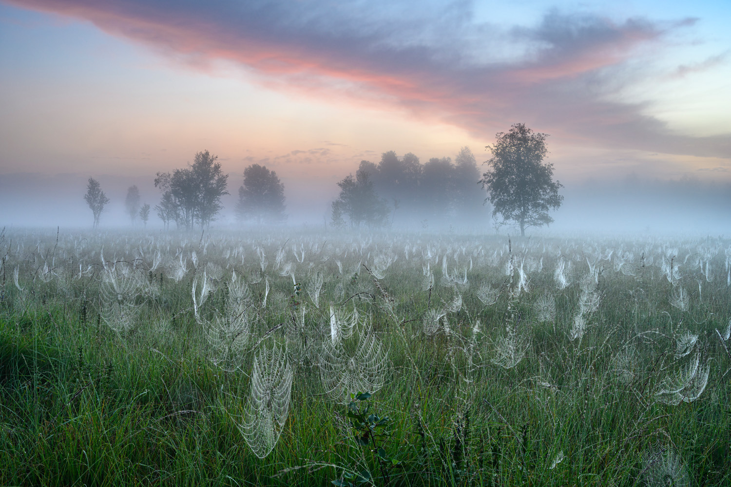 gdt nature photographer of the year 2025