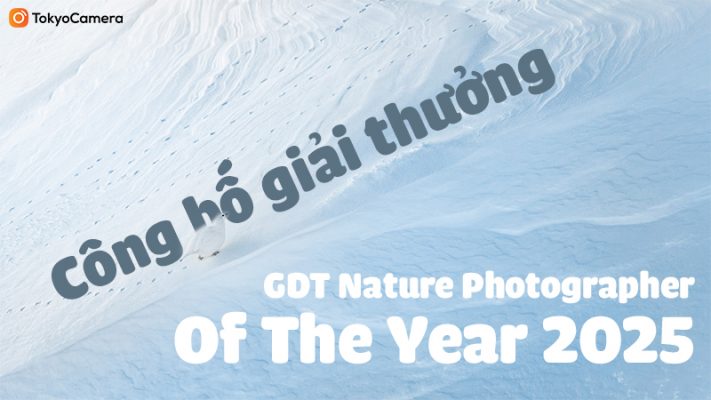 gdt nature photographer of the year 2025